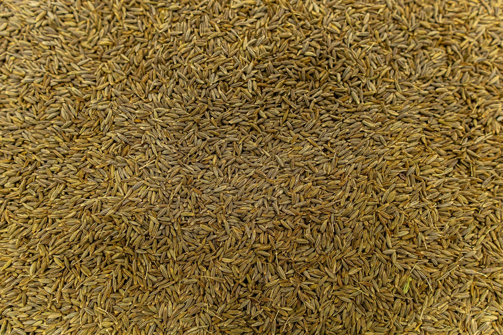 Whole Cumin Seeds